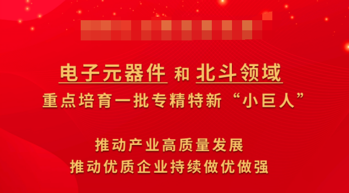 BBIN华大北斗荣获国家专精特新“小巨人”企业称号锻造北斗规模化发展芯力量(图2)