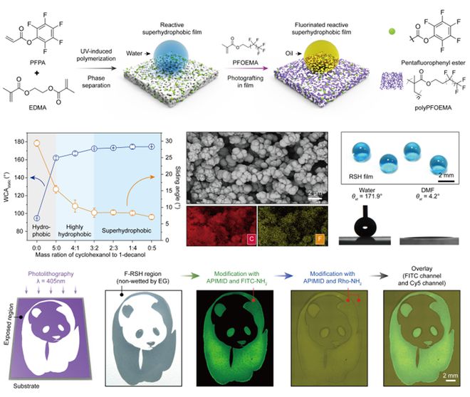 四川大学冯文骞研究员《Angew Chem》：活性超疏水材料用作三维电子器件内竖BBIN BBIN宝盈集团直电极中间层的新思路(图3)