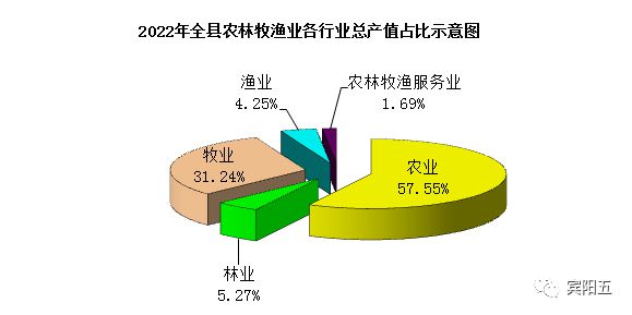 BBIN BBIN宝盈集团爱我宾阳！与你相关！2022年宾阳县国民经济和社会发展统计公报(图3)