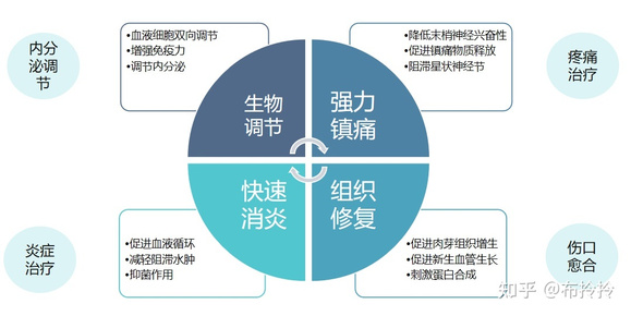 BBIN BBIN宝盈半导体激光治疗仪是什么呢？原理及应用(图3)