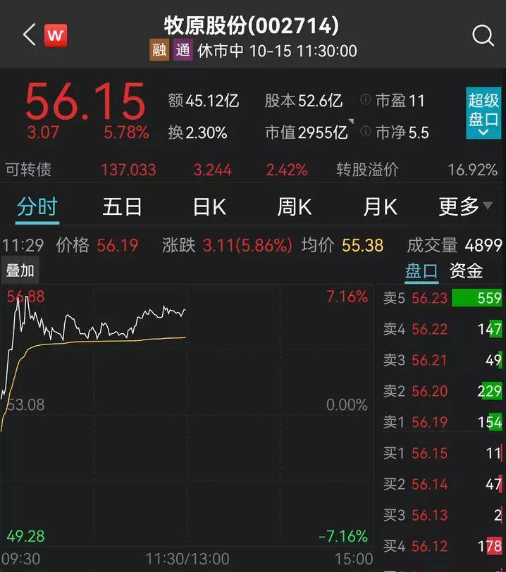 BBIN BBIN宝盈集团刺激！半导体突然爆发：最牛7个一字涨停！宁德时代狂飙8%！千亿白马又跌停(图15)