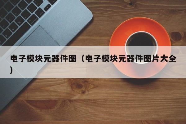 电子模块元器件图（电BBIN BBIN宝盈子模块元器件图片大全）